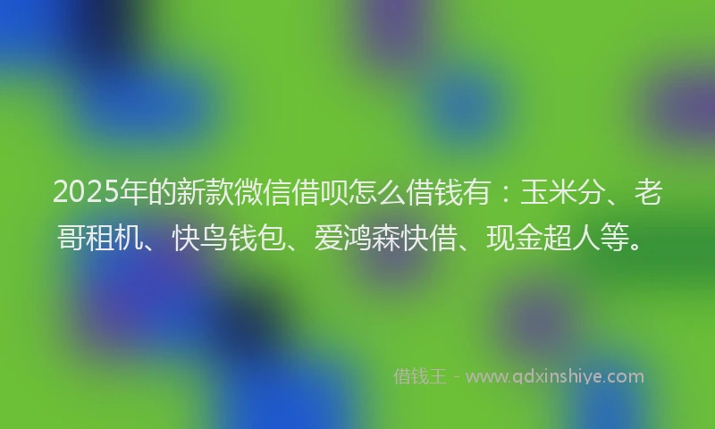 2025年的新款微信借呗怎么借钱有：玉米分、老哥租机、快鸟钱包、爱鸿森快借、现金超人等。