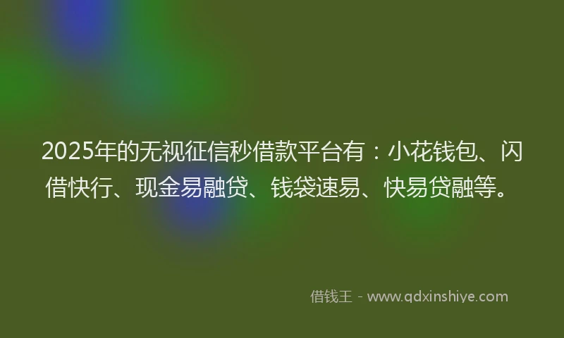 2025年的无视征信秒借款平台有：小花钱包、闪借快行、现金易融贷、钱袋速易、快易贷融等。