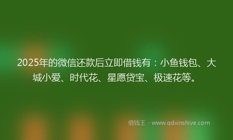 2025年的微信还款后立即借钱有：小鱼钱包、大城小爱、时代花、星愿贷宝、极速花等。
