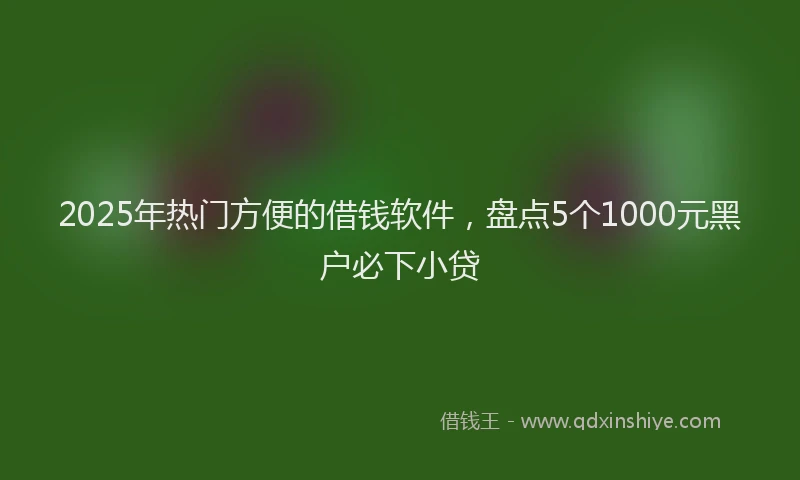2025年热门方便的借钱软件，盘点5个1000元黑户必下小贷