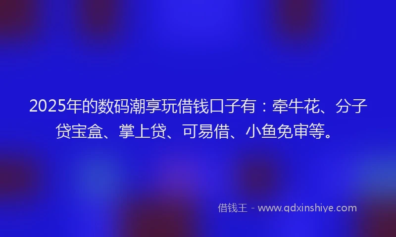 2025年的数码潮享玩借钱口子有：牵牛花、分子贷宝盒、掌上贷、可易借、小鱼免审等。