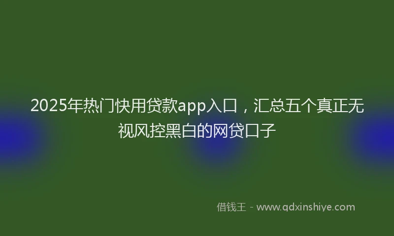 2025年热门快用贷款app入口，汇总五个真正无视风控黑白的网贷口子
