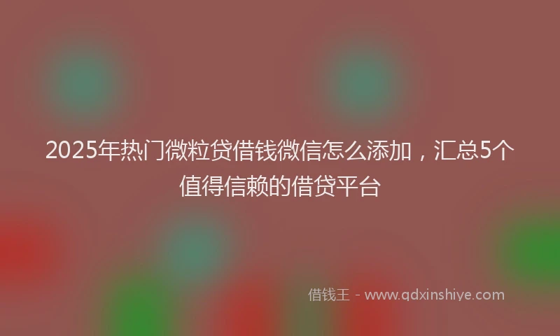 2025年热门微粒贷借钱微信怎么添加，汇总5个值得信赖的借贷平台