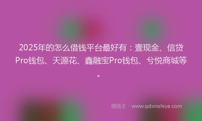 2025年的怎么借钱平台最好有：壹现金、信贷Pro钱包、天源花、鑫融宝Pro钱包、兮悦商城等。