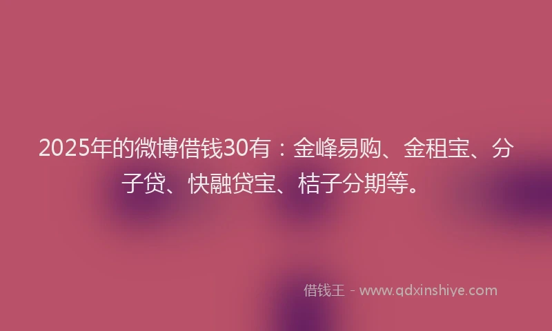 2025年的微博借钱30有：金峰易购、金租宝、分子贷、快融贷宝、桔子分期等。