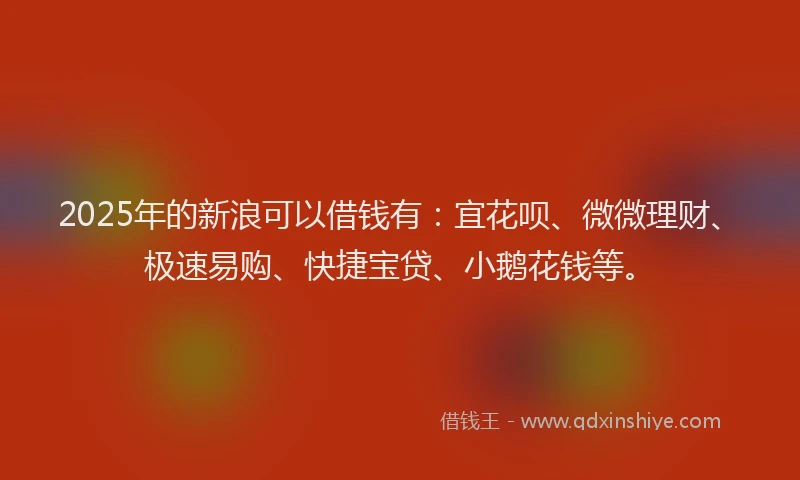 2025年的新浪可以借钱有：宜花呗、微微理财、极速易购、快捷宝贷、小鹅花钱等。