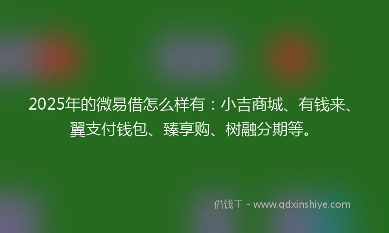 2025年的微易借怎么样有：小吉商城、有钱来、翼支付钱包、臻享购、树融分期等。