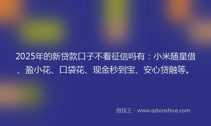 2025年的新贷款口子不看征信吗有：小米随星借、盈小花、口袋花、现金秒到宝、安心贷融等。