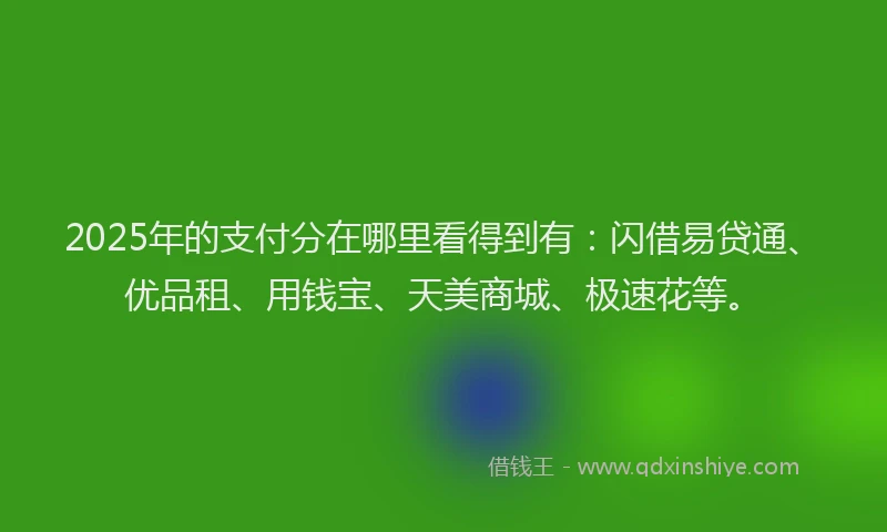 2025年的支付分在哪里看得到有：闪借易贷通、优品租、用钱宝、天美商城、极速花等。