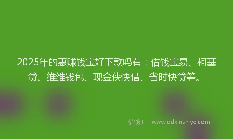 2025年的惠赚钱宝好下款吗有：借钱宝易、柯基贷、维维钱包、现金侠快借、省时快贷等。