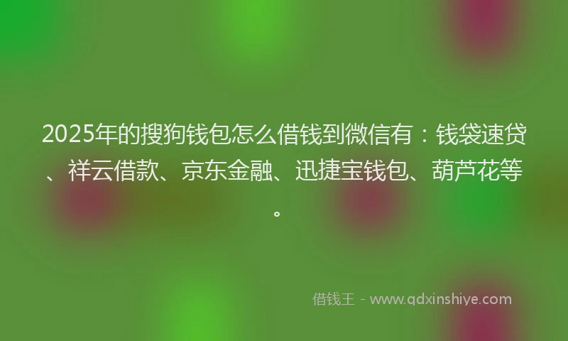 2025年的搜狗钱包怎么借钱到微信有：钱袋速贷、祥云借款、京东金融、迅捷宝钱包、葫芦花等。