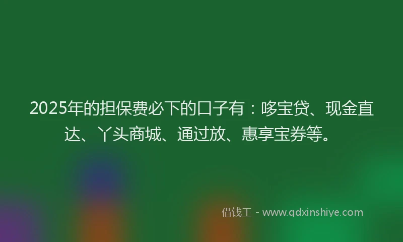 2025年的担保费必下的口子有：哆宝贷、现金直达、丫头商城、通过放、惠享宝券等。