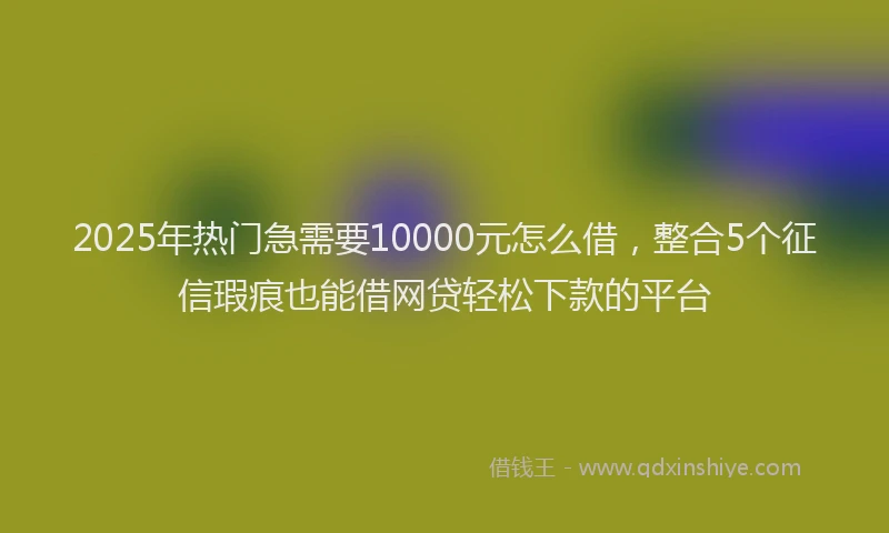 2025年热门急需要10000元怎么借，整合5个征信瑕疵也能借网贷轻松下款的平台