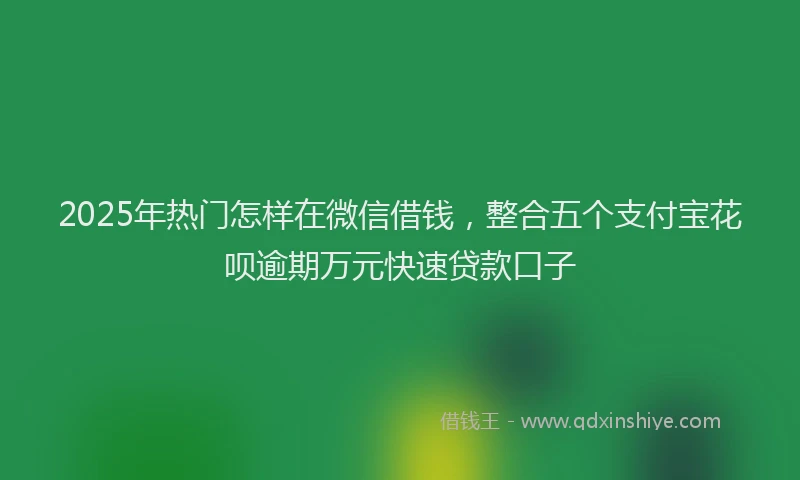 2025年热门怎样在微信借钱，整合五个支付宝花呗逾期万元快速贷款口子
