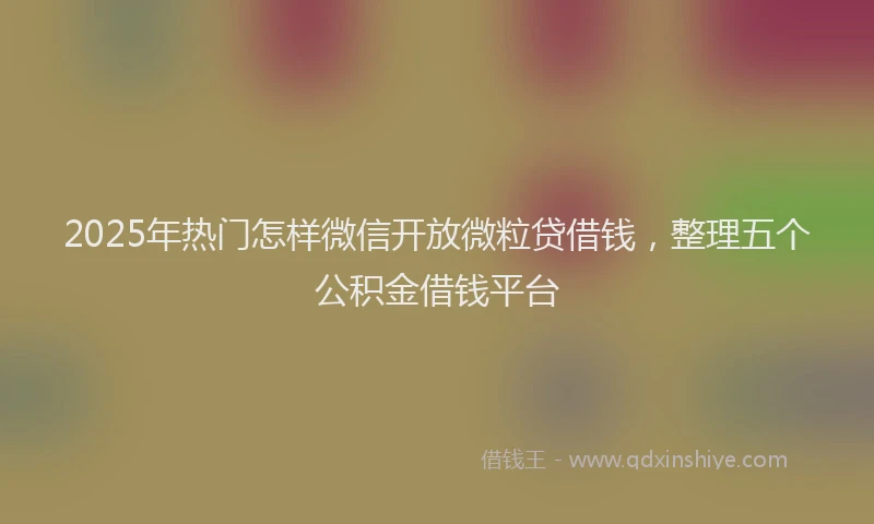 2025年热门怎样微信开放微粒贷借钱，整理五个公积金借钱平台