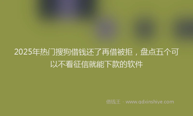2025年热门搜狗借钱还了再借被拒，盘点五个可以不看征信就能下款的软件
