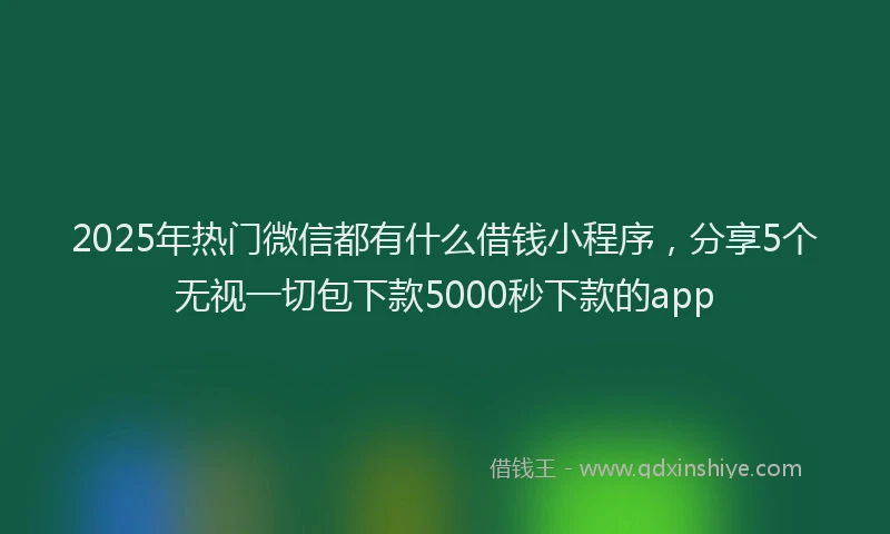 2025年热门微信都有什么借钱小程序，分享5个无视一切包下款5000秒下款的app