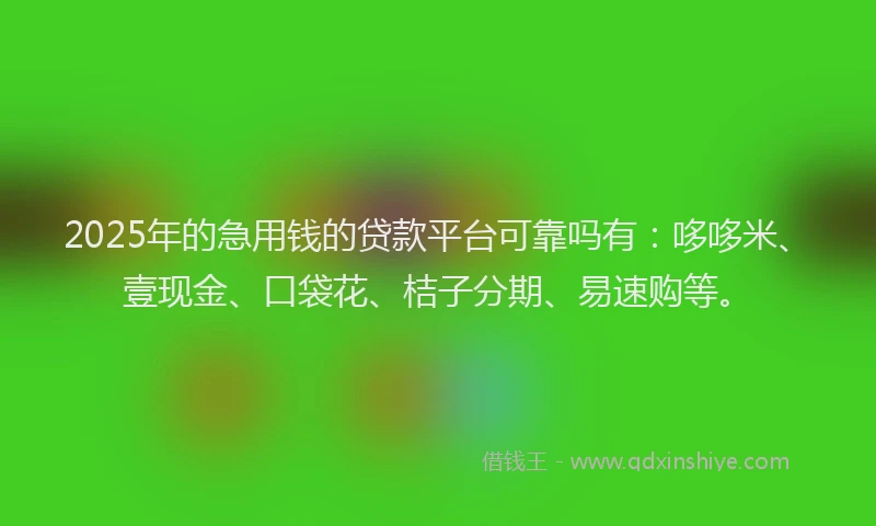 2025年的急用钱的贷款平台可靠吗有：哆哆米、壹现金、口袋花、桔子分期、易速购等。