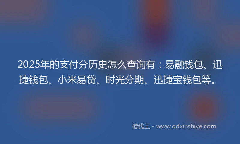 2025年的支付分历史怎么查询有：易融钱包、迅捷钱包、小米易贷、时光分期、迅捷宝钱包等。