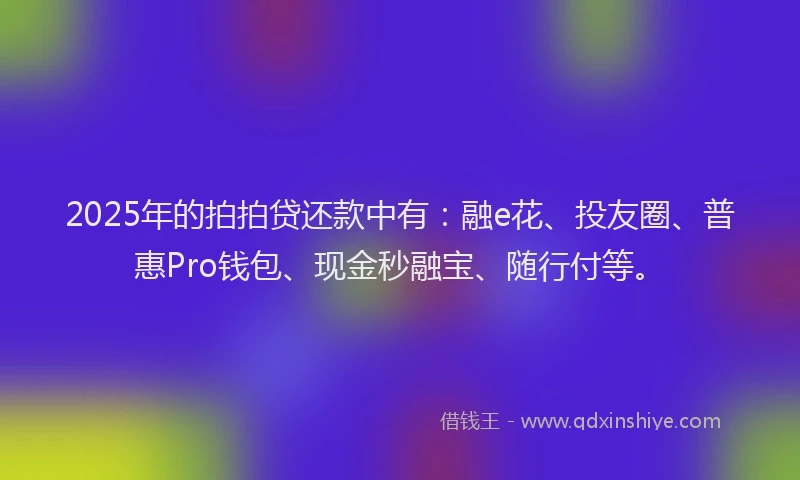2025年的拍拍贷还款中有：融e花、投友圈、普惠Pro钱包、现金秒融宝、随行付等。