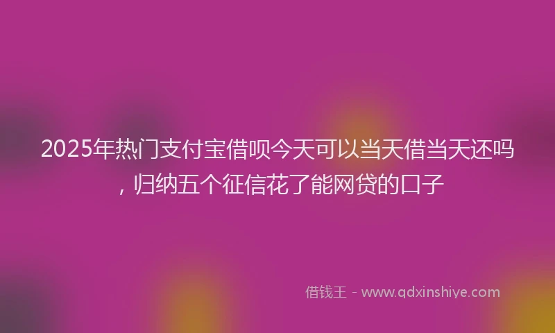 2025年热门支付宝借呗今天可以当天借当天还吗，归纳五个征信花了能网贷的口子