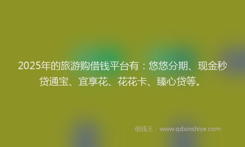 2025年的旅游购借钱平台有：悠悠分期、现金秒贷通宝、宜享花、花花卡、臻心贷等。