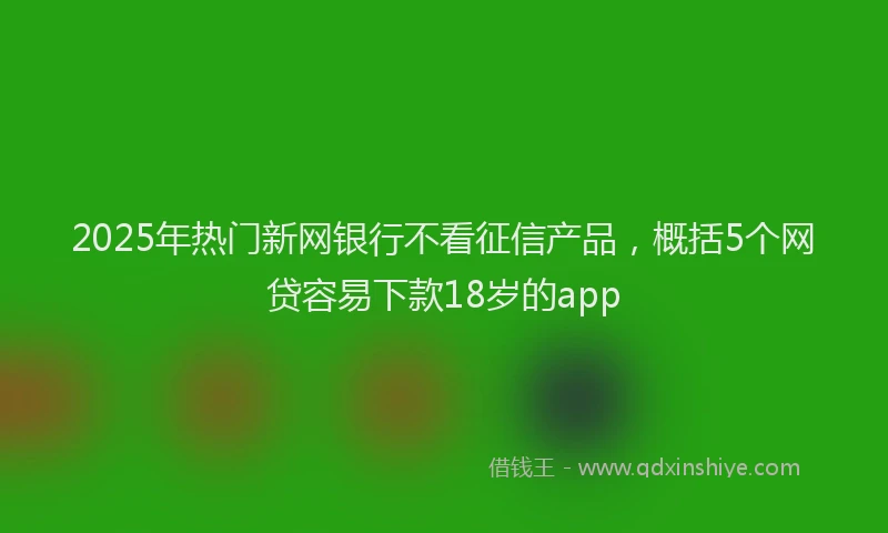 2025年热门新网银行不看征信产品，概括5个网贷容易下款18岁的app