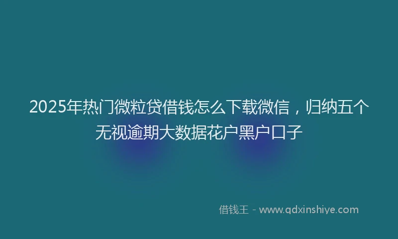 2025年热门微粒贷借钱怎么下载微信，归纳五个无视逾期大数据花户黑户口子