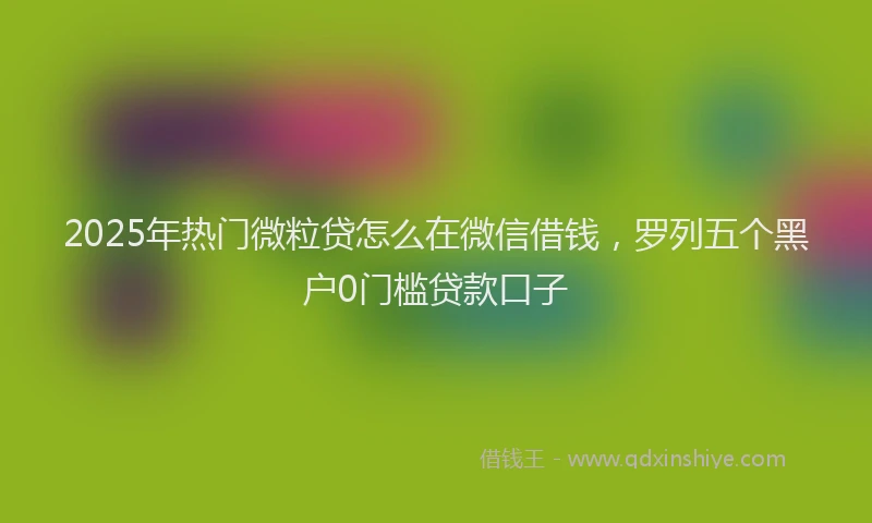 2025年热门微粒贷怎么在微信借钱，罗列五个黑户0门槛贷款口子