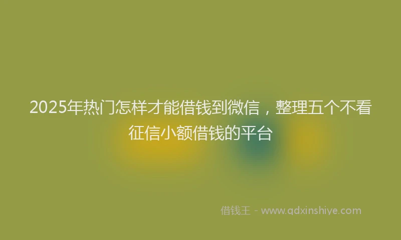 2025年热门怎样才能借钱到微信，整理五个不看征信小额借钱的平台