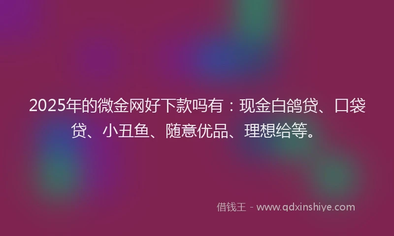 2025年的微金网好下款吗有：现金白鸽贷、口袋贷、小丑鱼、随意优品、理想给等。