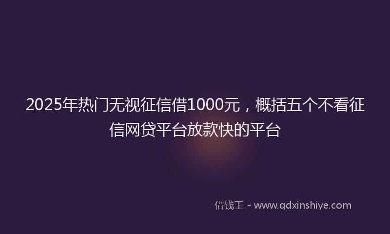 2025年热门无视征信借1000元，概括五个不看征信网贷平台放款快的平台