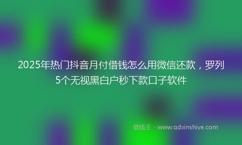 2025年热门抖音月付借钱怎么用微信还款，罗列5个无视黑白户秒下款口子软件