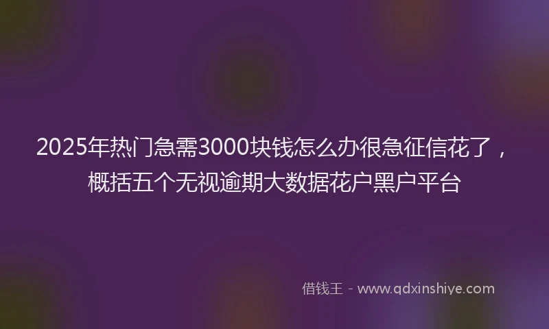 2025年热门急需3000块钱怎么办很急征信花了，概括五个无视逾期大数据花户黑户平台