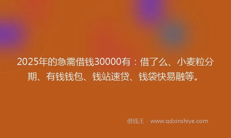 2025年的急需借钱30000有：借了么、小麦粒分期、有钱钱包、钱站速贷、钱袋快易融等。