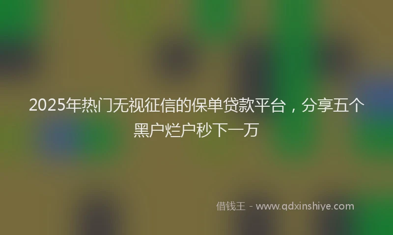 2025年热门无视征信的保单贷款平台，分享五个黑户烂户秒下一万