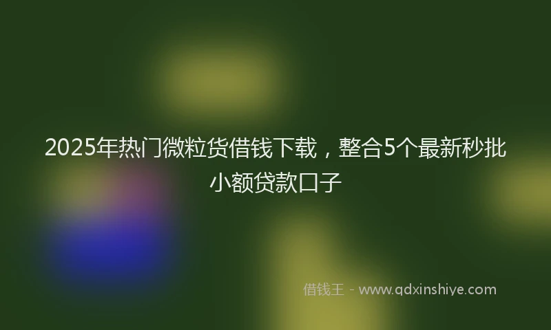 2025年热门微粒货借钱下载，整合5个最新秒批小额贷款口子