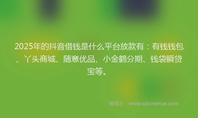 2025年的抖音借钱是什么平台放款有：有钱钱包、丫头商城、随意优品、小金鹤分期、钱袋瞬贷宝等。