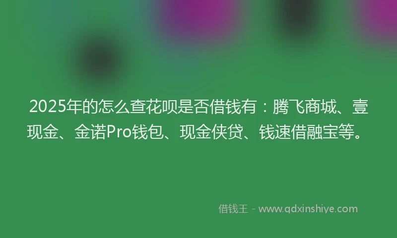 2025年的怎么查花呗是否借钱有：腾飞商城、壹现金、金诺Pro钱包、现金侠贷、钱速借融宝等。