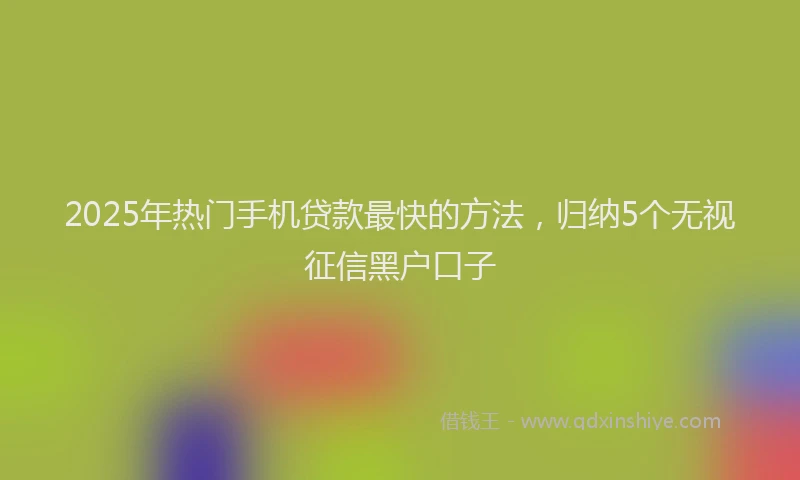 2025年热门手机贷款最快的方法，归纳5个无视征信黑户口子