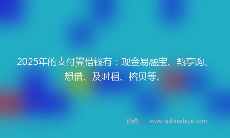 2025年的支付翼借钱有：现金易融宝、甄享购、想借、及时租、榕贝等。