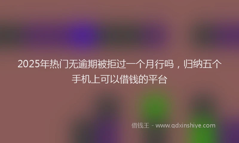2025年热门无逾期被拒过一个月行吗，归纳五个手机上可以借钱的平台