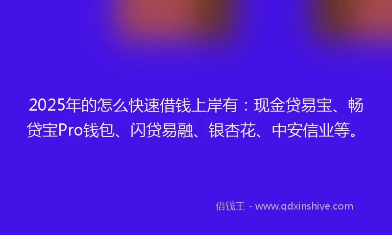 2025年的怎么快速借钱上岸有：现金贷易宝、畅贷宝Pro钱包、闪贷易融、银杏花、中安信业等。