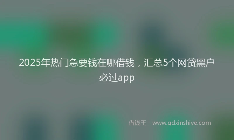 2025年热门急要钱在哪借钱，汇总5个网贷黑户必过app