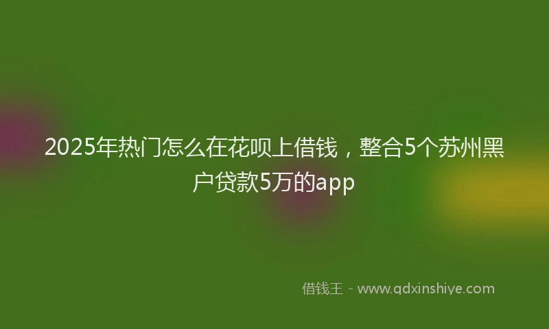 2025年热门怎么在花呗上借钱，整合5个苏州黑户贷款5万的app
