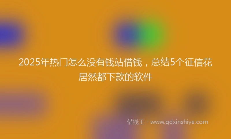 2025年热门怎么没有钱站借钱，总结5个征信花居然都下款的软件