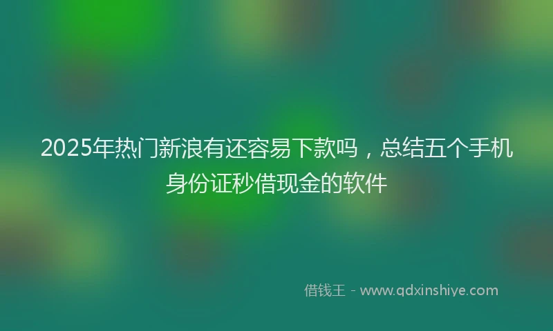 2025年热门新浪有还容易下款吗，总结五个手机身份证秒借现金的软件