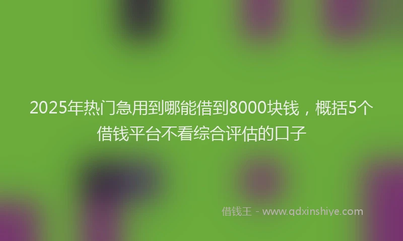 2025年热门急用到哪能借到8000块钱，概括5个借钱平台不看综合评估的口子