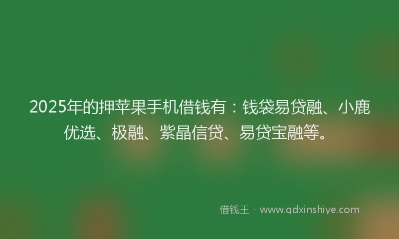2025年的押苹果手机借钱有：钱袋易贷融、小鹿优选、极融、紫晶信贷、易贷宝融等。