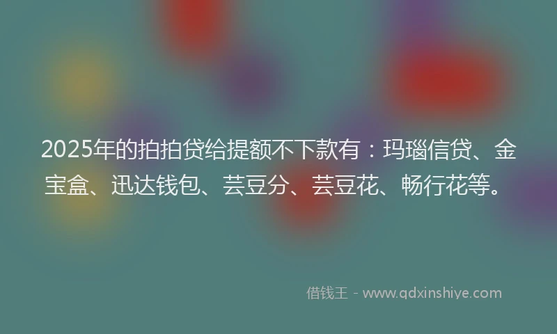 2025年的拍拍贷给提额不下款有：玛瑙信贷、金宝盒、迅达钱包、芸豆分、芸豆花、畅行花等。